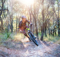 Bayview Conservation Area - Attractions Brisbane