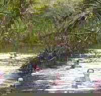 Berry Springs - Attractions Brisbane