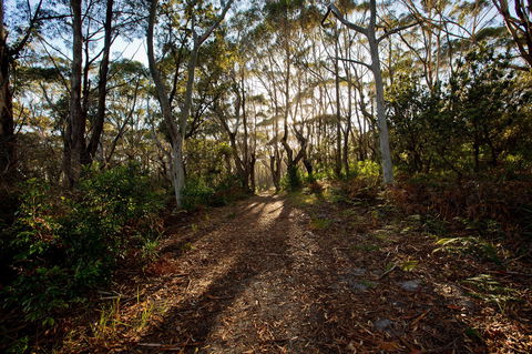 Booderee National Park: Munyunga Waraga Dhugan Walking Trail - Attractions Brisbane 0
