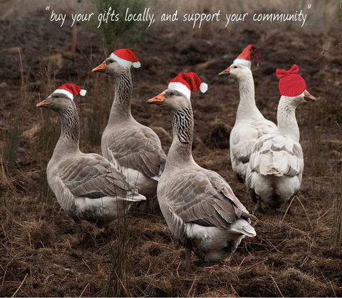 Bream Creek Farmers Market - Attractions Brisbane 1