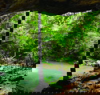 Buderim - Attractions Brisbane