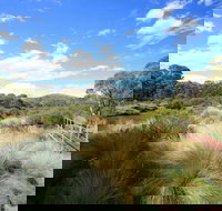 Bullocks walking track - Attractions Brisbane