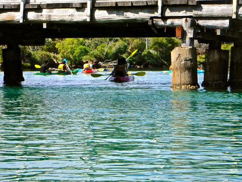Byron Bay River Nature Kayak Tour - Attractions Brisbane 1