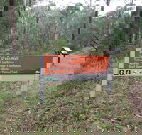 Carter's Mill Picnic and Camping Area - Attractions Brisbane