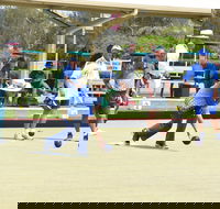 Cleveland Sharks Bowls Club - Attractions Brisbane