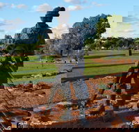 Cobar Miners Heritage Park - Attractions Brisbane