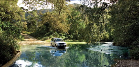 Conondale National Park - Attractions Brisbane 1