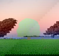 Condamine - Attractions Brisbane