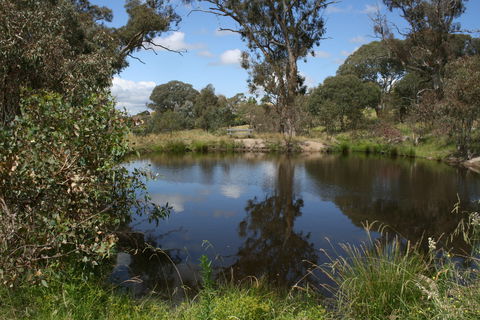 Cooleman Ridge - Attractions Brisbane 0