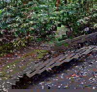 Coombadjha Nature Stroll - Attractions Brisbane