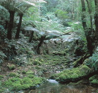 Corn Trail - Attractions Brisbane