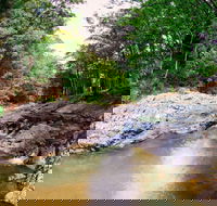 Currumbin Rock Pools - Attractions Brisbane