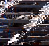 Dalby - Attractions Brisbane