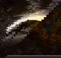 Dennings Labyrinth - Attractions Brisbane