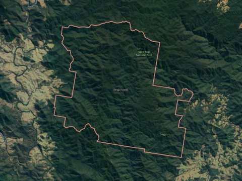 Dingo Forest - Attractions Brisbane 0