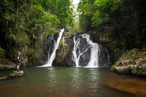 Dinner Falls - Attractions Brisbane 0