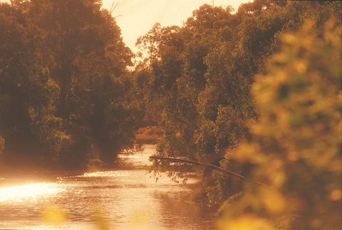 Donnybrook - Attractions Brisbane 0