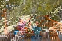 Book Dubbo Accommodation Vacations Attractions Brisbane Attractions Brisbane