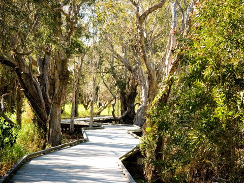 Eagleby Wetlands - Attractions Brisbane 1