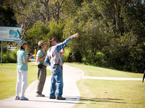 Eagleby Wetlands - Attractions Brisbane 2