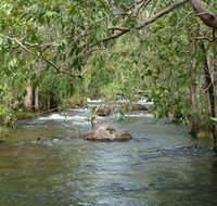 Florence Creek walk - Attractions Brisbane