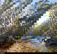 Forest Drive Murrumbidgee Valley National Park - Attractions Brisbane