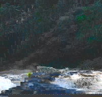 Gardners Falls - Attractions Brisbane