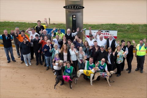 Geelong Greyhound Racing Club - The Beckley Centre - Attractions Brisbane 0