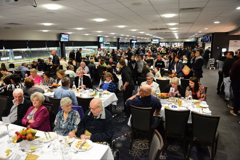 Geelong Greyhound Racing Club - The Beckley Centre - Attractions Brisbane 1