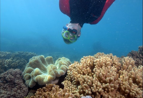 Geoffrey Bay Snorkel Trail - Attractions Brisbane 0