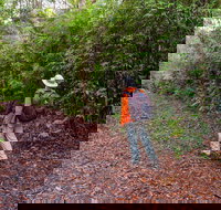 Gibraltar-Washpool World Heritage Walk - Attractions Brisbane