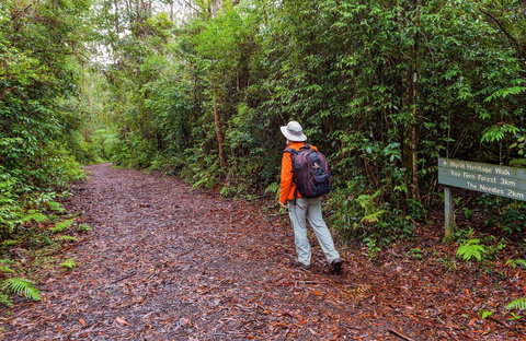 Gibraltar-Washpool World Heritage Walk - Attractions Brisbane 0