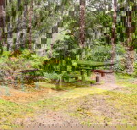Goodenia Rainforest picnic area - Attractions Brisbane