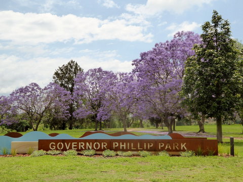 Governor Phillip Park - Attractions Brisbane 0