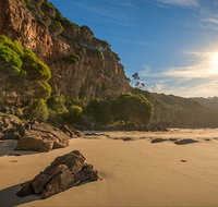 Greenglade picnic area - Attractions Brisbane