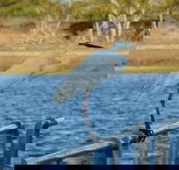 Groper Creek - Attractions Brisbane