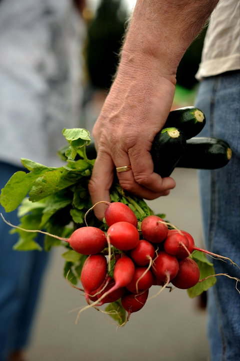 Harvest Launceston Community Farmers' Market - Attractions Brisbane 1