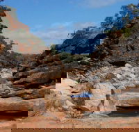 Homestead Gorge trail - Attractions Brisbane