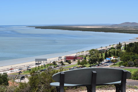 Hummock Hill Lookout - Attractions Brisbane 2