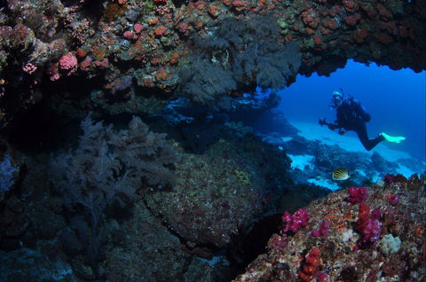 Hutchinson Shoal Dive Site - Attractions Brisbane 0