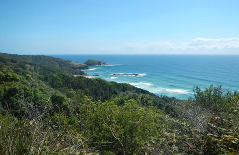 Jack Perkins Walking Track - Attractions Brisbane 0