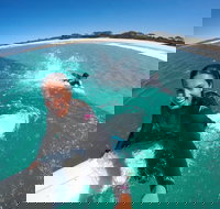 Janie's Corner - Attractions Brisbane