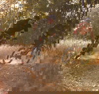 Kholo Gardens Trails - Attractions Brisbane