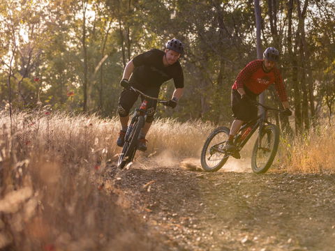 Kholo Gardens Trails - Attractions Brisbane 0