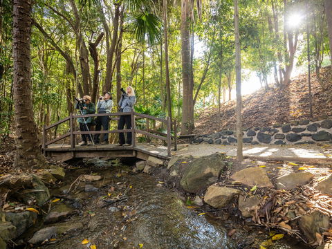Kholo Gardens Trails - Attractions Brisbane 1