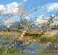 Lagoon Creek - Attractions Brisbane