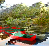 Lane Cove National Park - Attractions Brisbane