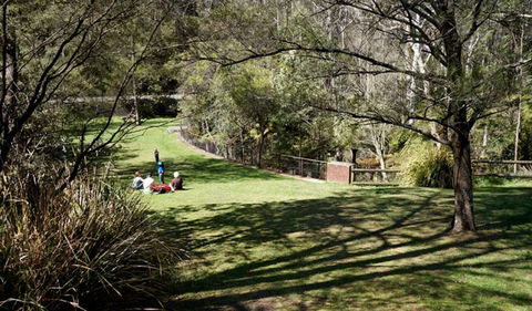 Leura Cascades - Attractions Brisbane 0