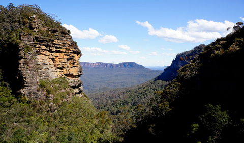 Leura Cascades - Attractions Brisbane 1