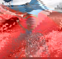 Maitland Aquatic Centre - Attractions Brisbane